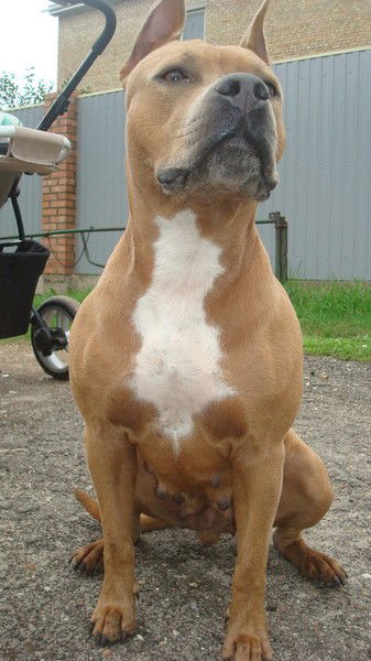 Виктория Царук