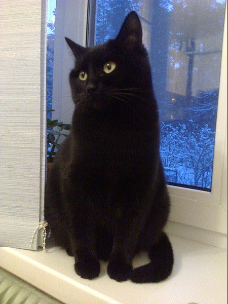 Татьяна Башмакова