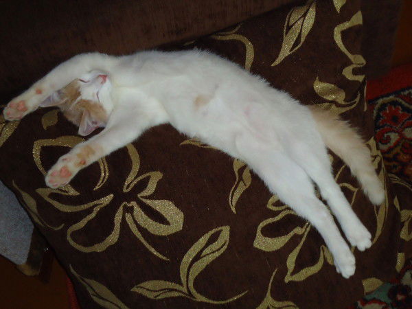 Татьяна Кирьянова