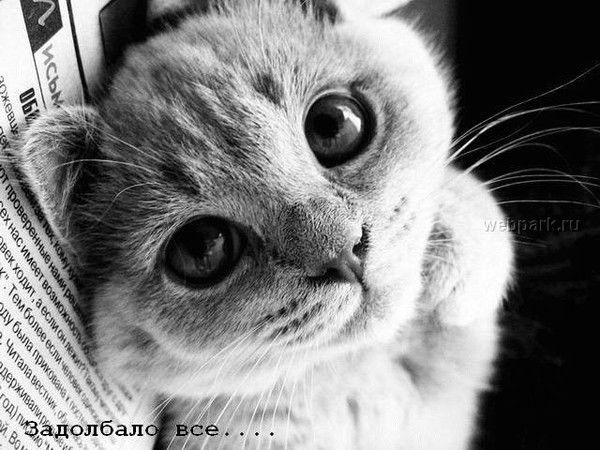 Наталия Федорова