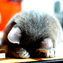 Валерий Ерохин