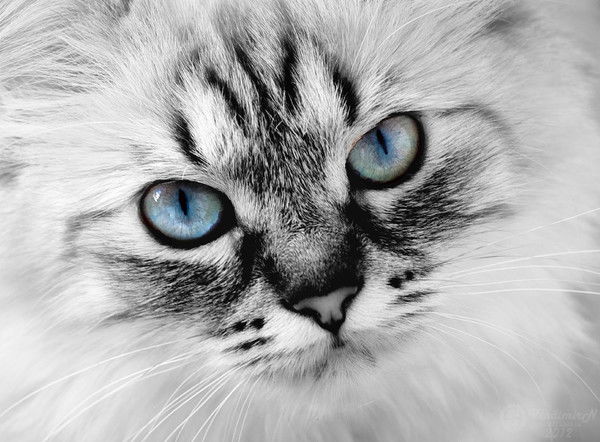 Наталья Крутикова