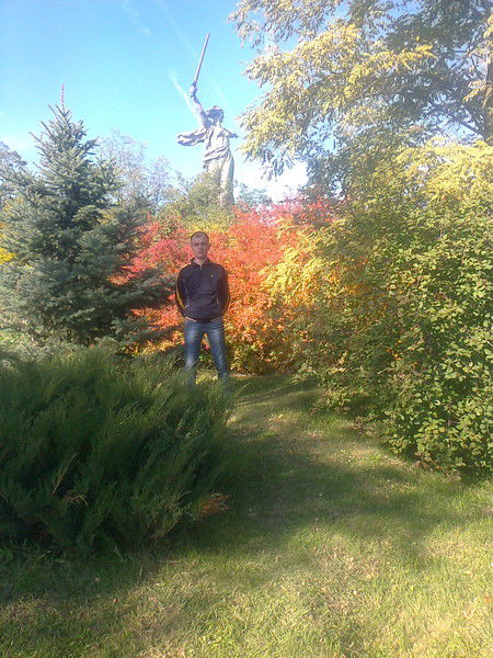 Дмитрий Тележевич