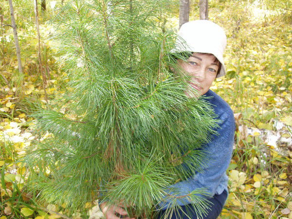 Лариса Савченко