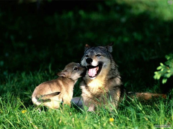 Вера Брызгалина