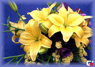 Татьяна Андреева