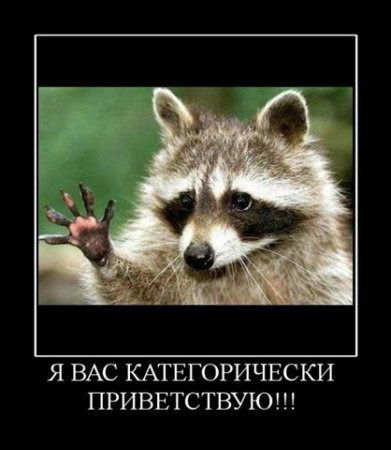 Владимир Панькин