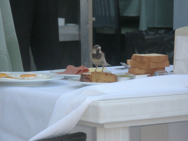 Максим Цуканов