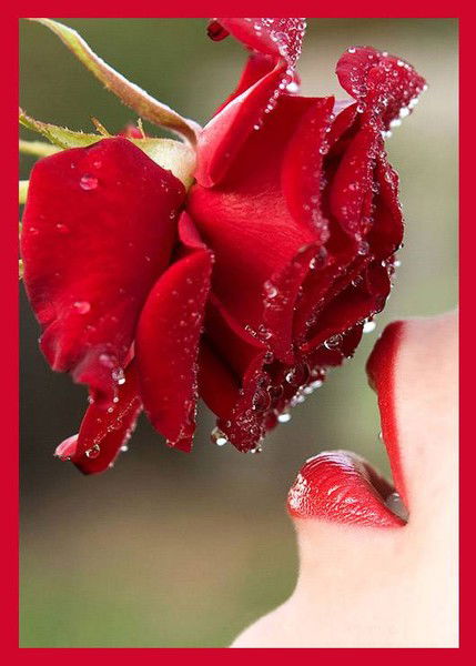 Светлана Парканова