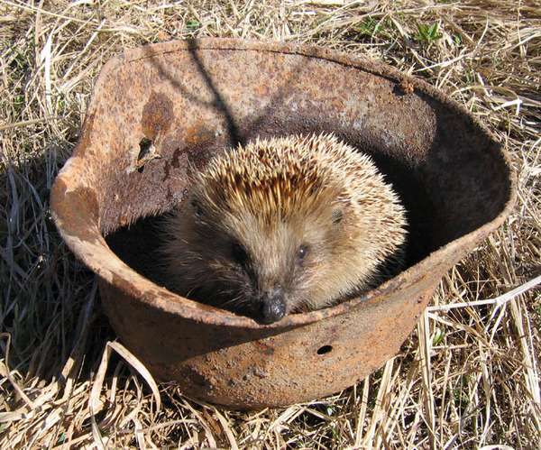 Алексей Камаков