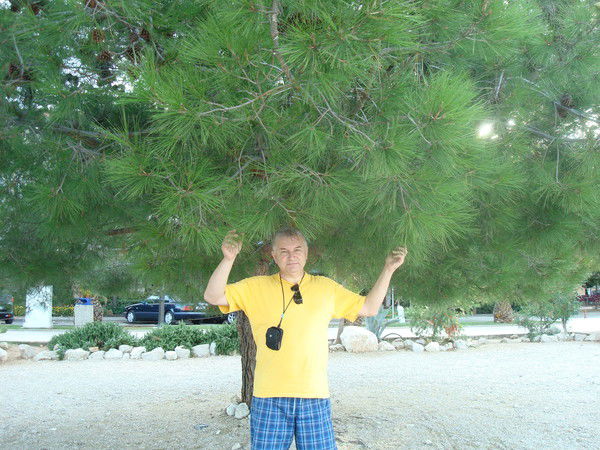 Сергей Перегуда