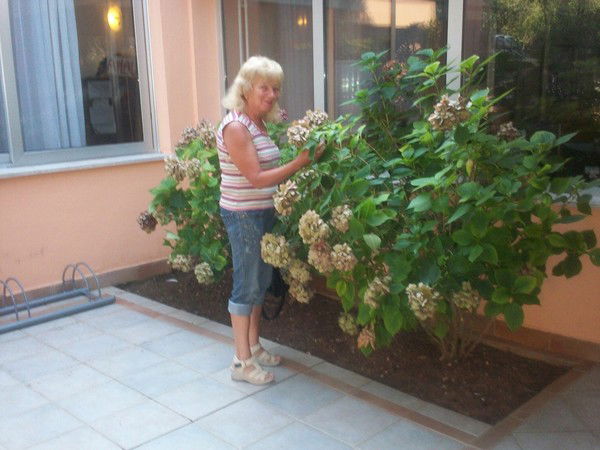 Надежда Тарасова