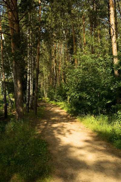 Наталья Рыжова