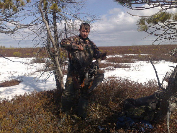 Сергей Ильющенко