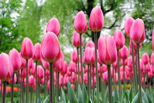 Марина Михайлина