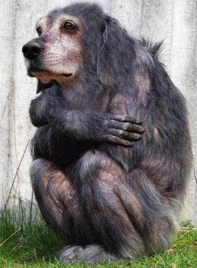 Татьяна Моисеева