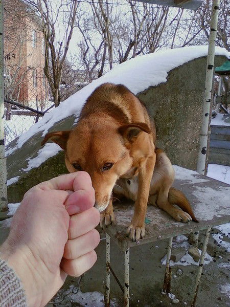 Даша Милюкова