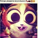 Амина Гаджиева