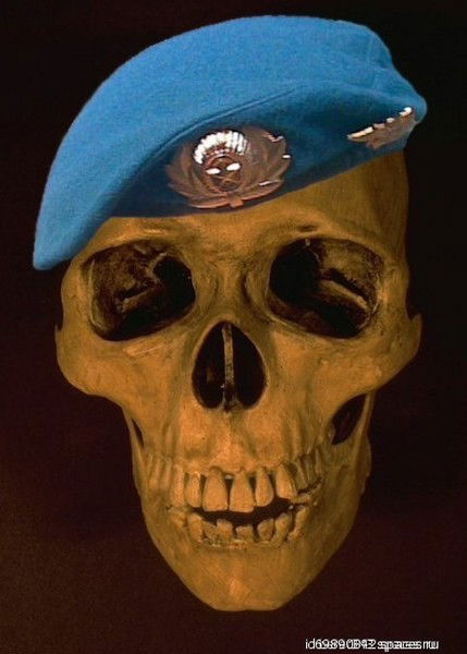 Дима Алексеев