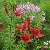 Наталья Савкина