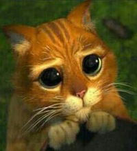 Иван Архипов