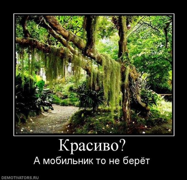 Бакыт Качыбеков