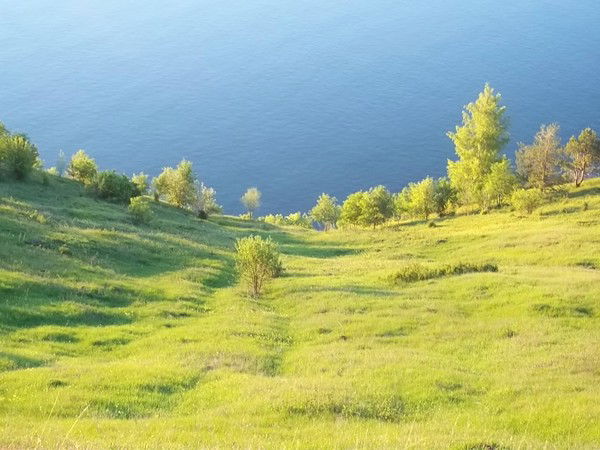 Елена Кузьмина