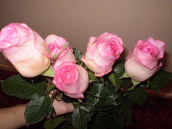 Ярослава Мошковская