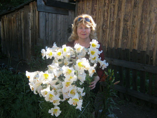 Елена Смирнова