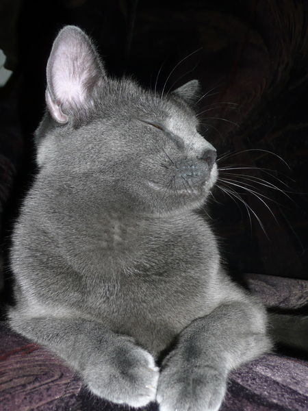 Олег Кириллов