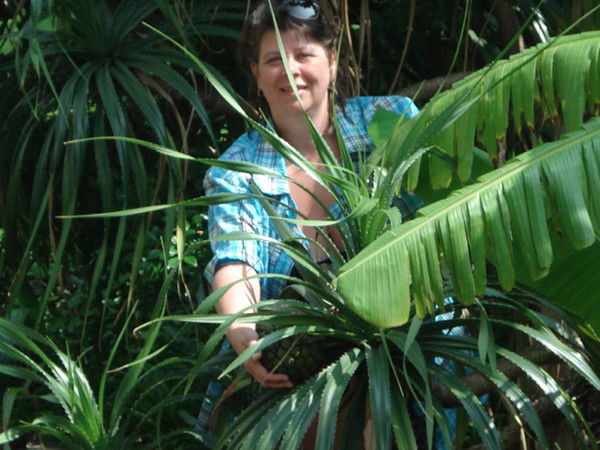 Елена Друбина-Голицына