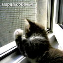 Александр Кривохижа
