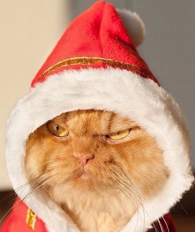 Богдан Козленко