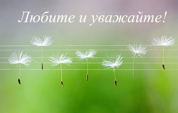 Лариса Лаптева