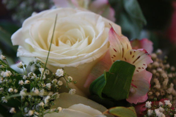 Татьяна Осинина