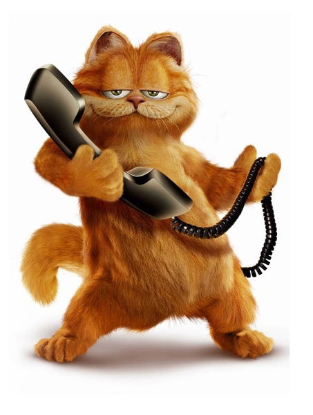 Денис Гаврилов