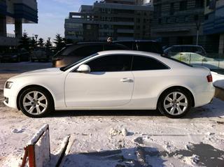 Алексей Холодов