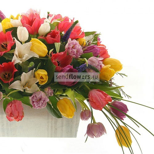 Жанна Сейдалиева