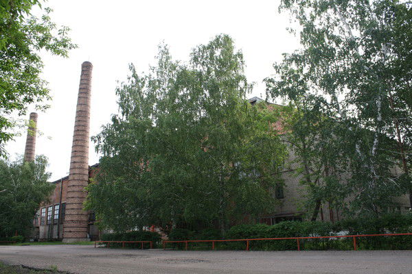 Игорь Игорь