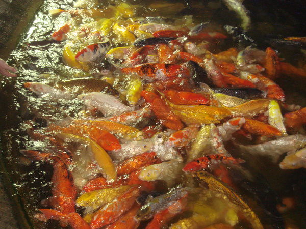 Пётр Меркушев