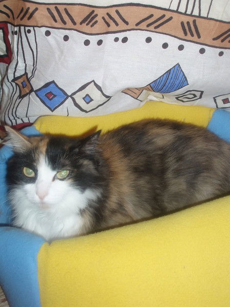 Ирина Кузнецова