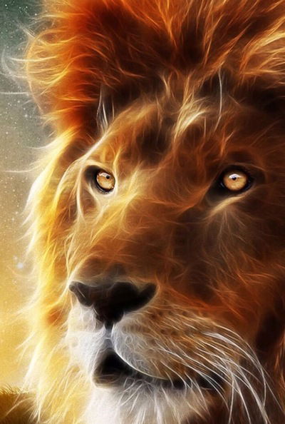 Александр Шевченко