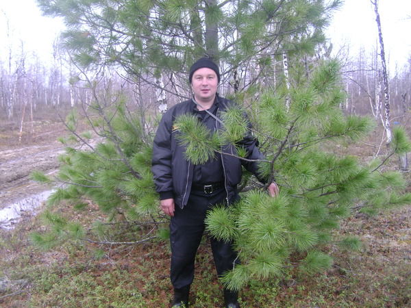 Андрей Ламбин