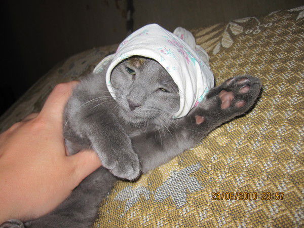 Сергеи Богданов