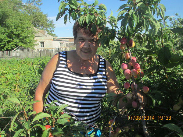Надежда Зубарева