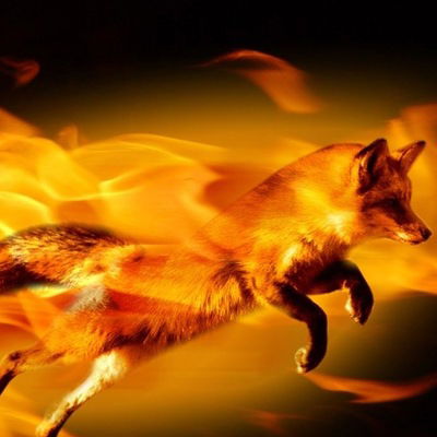 Ленка Рудохвостая