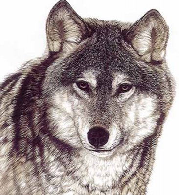 Денис Резун