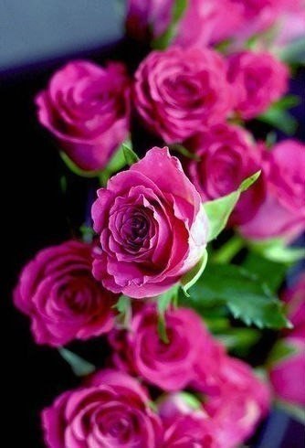 Вероника Фомина