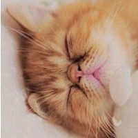 Кристина Бабкинова