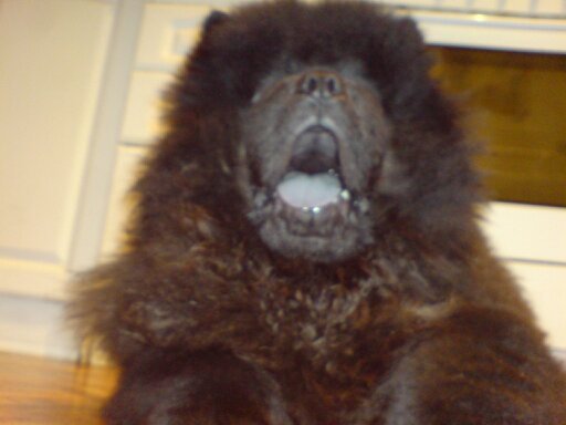 Ирина Новикова